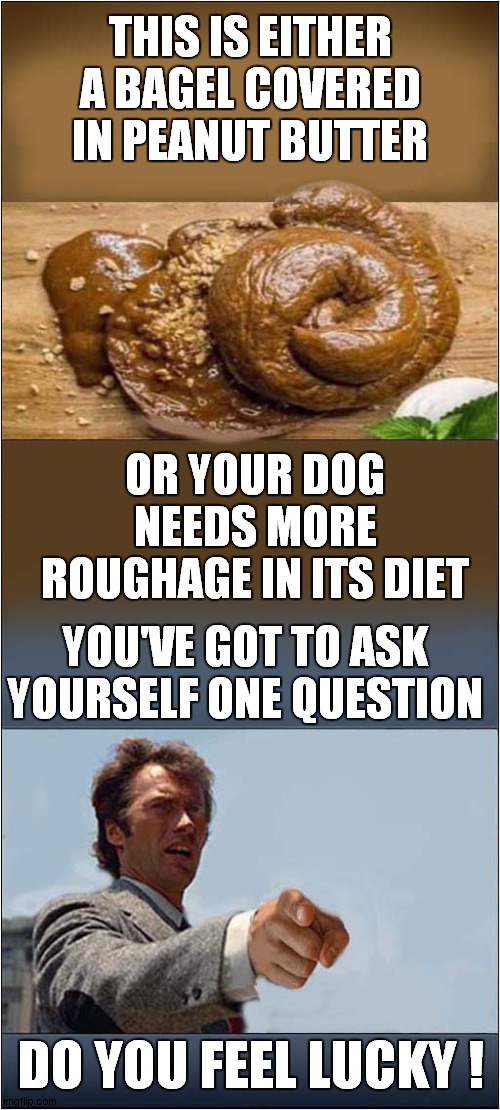 Do You Still Feel Lucky ? | THIS IS EITHER A BAGEL COVERED IN PEANUT BUTTER; OR YOUR DOG NEEDS MORE ROUGHAGE IN ITS DIET; YOU'VE GOT TO ASK YOURSELF ONE QUESTION; DO YOU FEEL LUCKY ! | image tagged in bagel,peanut butter,dog,roughage,dark humour | made w/ Imgflip meme maker