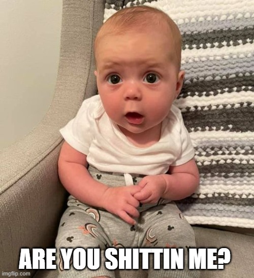 Are you shittin me? | ARE YOU SHITTIN ME? | image tagged in skeptical baby | made w/ Imgflip meme maker
