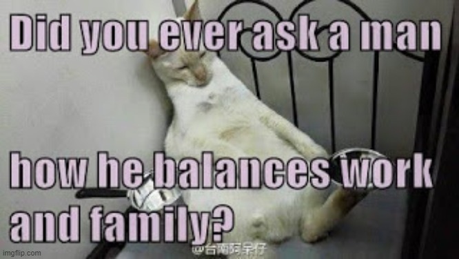 Why are men never asked how they balance work and family? | image tagged in family,inequality,lolcat | made w/ Imgflip meme maker