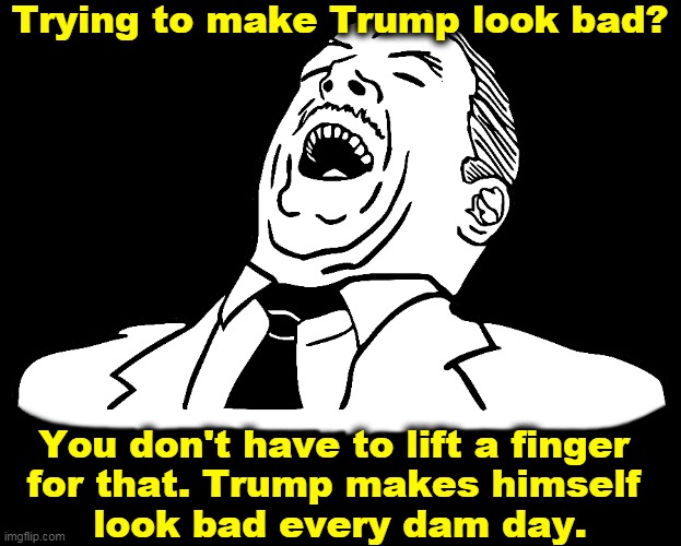 Nobody has to try to make Trump look bad. | Trying to make Trump look bad? You don't have to lift a finger 
for that. Trump makes himself 
look bad every dam day. | image tagged in trump,look,bad,easy | made w/ Imgflip meme maker