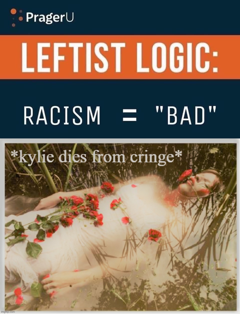 bruh (Disclaimer: Satire) | image tagged in prageru racism bad,kylie dies from cringe redux | made w/ Imgflip meme maker