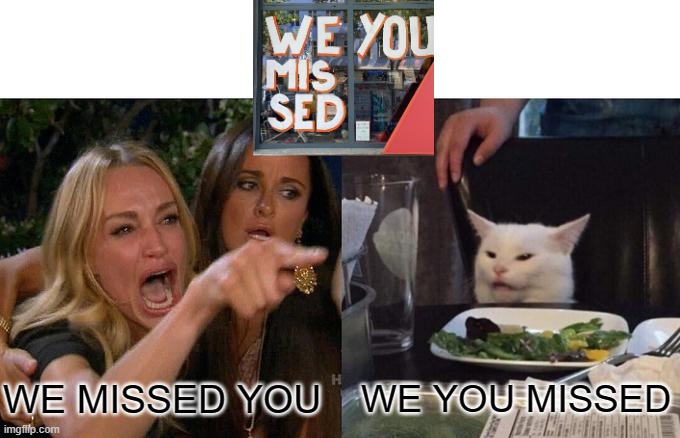 we (you) missed (you) | WE MISSED YOU; WE YOU MISSED | image tagged in memes,woman yelling at cat | made w/ Imgflip meme maker