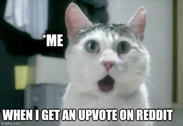 I can't believe | *ME; WHEN I GET AN UPVOTE ON REDDIT | image tagged in memes,omg cat | made w/ Imgflip meme maker