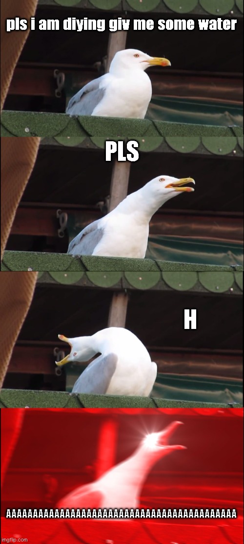 plos calm down grandpa | pls i am diying giv me some water; PLS; H; AAAAAAAAAAAAAAAAAAAAAAAAAAAAAAAAAAAAAAAAAAA | image tagged in memes,inhaling seagull,pls help my grandpa | made w/ Imgflip meme maker