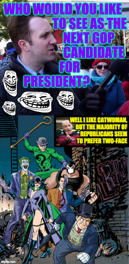 Inspired by 2SpiritCherokeePrincess. | WHO WOULD YOU LIKE  
TO SEE AS THE
NEXT GOP     
CANDIDATE 
FOR                   
PRESIDENT? | image tagged in memes,gop,2024 election,two-face,catwoman | made w/ Imgflip meme maker