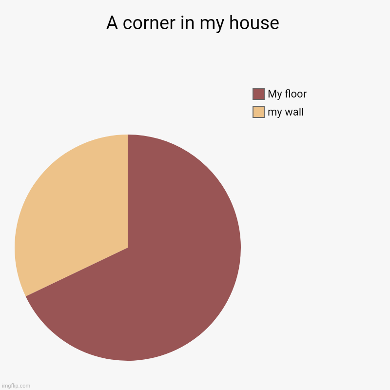 A corner in my house | my wall, My floor | image tagged in charts,pie charts | made w/ Imgflip chart maker