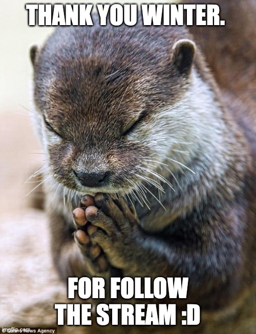 Thank you Lord Otter | THANK YOU WINTER. FOR FOLLOW THE STREAM :D | image tagged in thank you lord otter | made w/ Imgflip meme maker