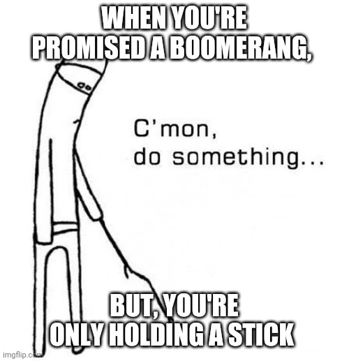 Boomerang | WHEN YOU'RE PROMISED A BOOMERANG, BUT, YOU'RE ONLY HOLDING A STICK | image tagged in cmon do something | made w/ Imgflip meme maker