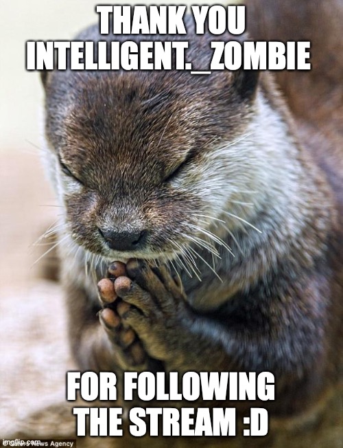 Thank you Lord Otter | THANK YOU INTELLIGENT._ZOMBIE; FOR FOLLOWING THE STREAM :D | image tagged in thank you lord otter | made w/ Imgflip meme maker
