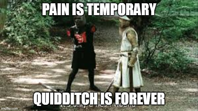 It's Just a Flesh Wound | PAIN IS TEMPORARY; QUIDDITCH IS FOREVER | image tagged in it's just a flesh wound | made w/ Imgflip meme maker