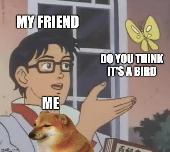 A bird | MY FRIEND; DO YOU THINK IT'S A BIRD; ME | image tagged in birds | made w/ Imgflip meme maker