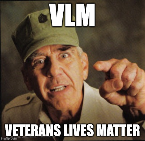 VLM | VLM; VETERANS LIVES MATTER | image tagged in military | made w/ Imgflip meme maker