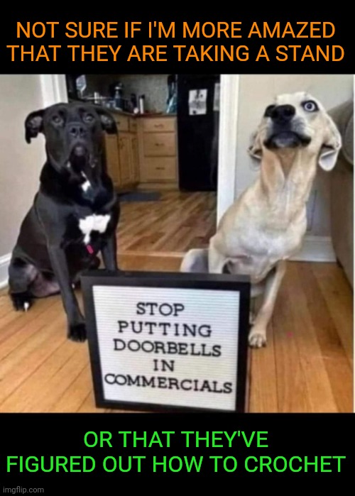 Smart dogs | NOT SURE IF I'M MORE AMAZED THAT THEY ARE TAKING A STAND; OR THAT THEY'VE FIGURED OUT HOW TO CROCHET | image tagged in funny dogs,funny memes | made w/ Imgflip meme maker