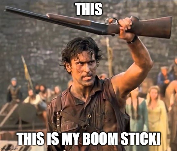 boomstick | THIS THIS IS MY BOOM STICK! | image tagged in boomstick | made w/ Imgflip meme maker