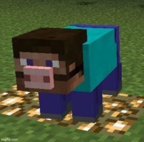 OK, what did I see? | image tagged in minecraft,cursed image,pig,fusion,cursed | made w/ Imgflip meme maker