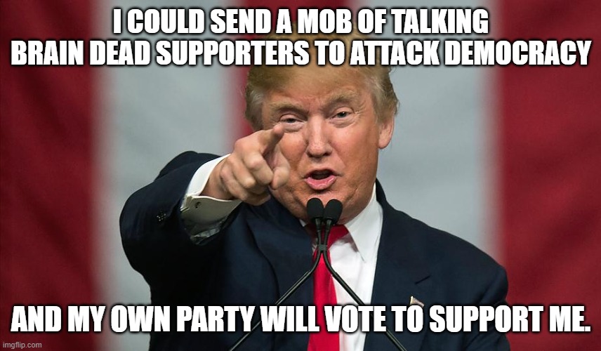 Donald Trump Birthday | I COULD SEND A MOB OF TALKING BRAIN DEAD SUPPORTERS TO ATTACK DEMOCRACY; AND MY OWN PARTY WILL VOTE TO SUPPORT ME. | image tagged in donald trump birthday | made w/ Imgflip meme maker