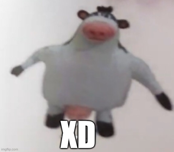 XD | XD | image tagged in xd | made w/ Imgflip meme maker