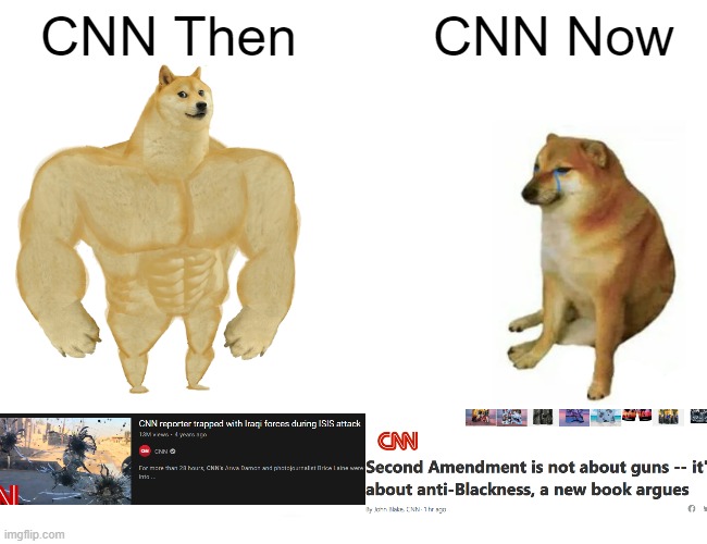 Buff Doge vs. Cheems | CNN Then; CNN Now | image tagged in memes,buff doge vs cheems | made w/ Imgflip meme maker