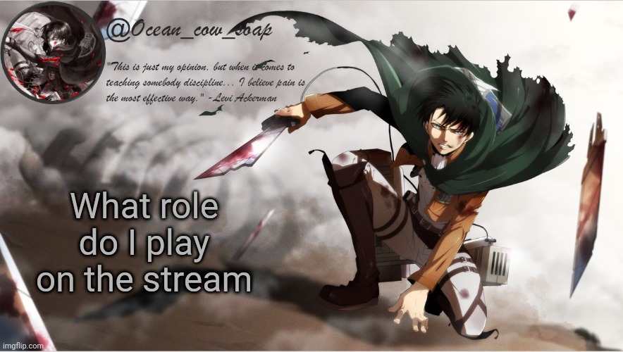 soap's levi temp | What role do I play on the stream | image tagged in soap's levi temp | made w/ Imgflip meme maker