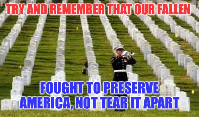 Remember that the next time someone says they should take up arms against our country because they lost an election | TRY AND REMEMBER THAT OUR FALLEN; FOUGHT TO PRESERVE AMERICA, NOT TEAR IT APART | image tagged in military cemetary,memorial day | made w/ Imgflip meme maker