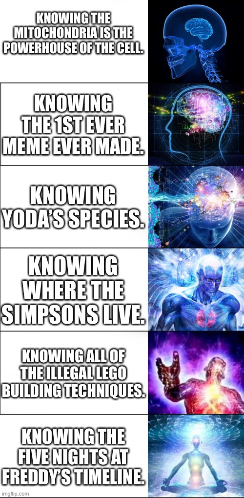 Expanding brain | KNOWING THE MITOCHONDRIA IS THE POWERHOUSE OF THE CELL. KNOWING THE 1ST EVER MEME EVER MADE. KNOWING YODA’S SPECIES. KNOWING WHERE THE SIMPSONS LIVE. KNOWING ALL OF THE ILLEGAL LEGO BUILDING TECHNIQUES. KNOWING THE FIVE NIGHTS AT FREDDY’S TIMELINE. | image tagged in expanding brain | made w/ Imgflip meme maker