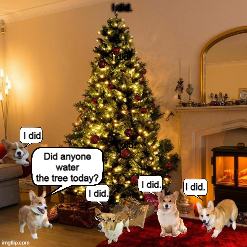 Dog Christmases | image tagged in christmas,christmas tree,dog,dogs,funny,memes | made w/ Imgflip meme maker