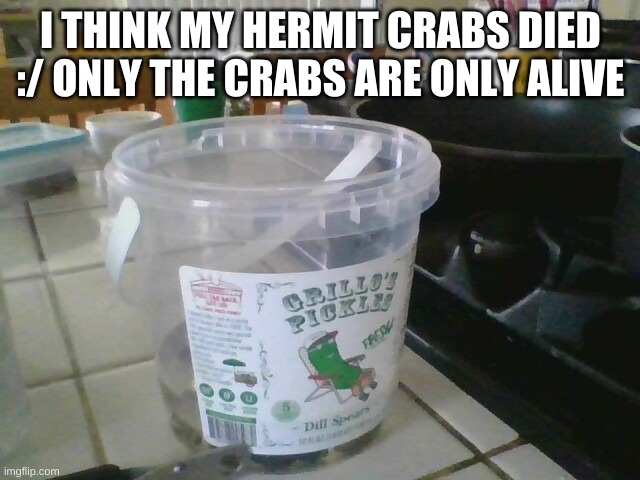 I THINK MY HERMIT CRABS DIED :/ ONLY THE CRABS ARE ONLY ALIVE | made w/ Imgflip meme maker