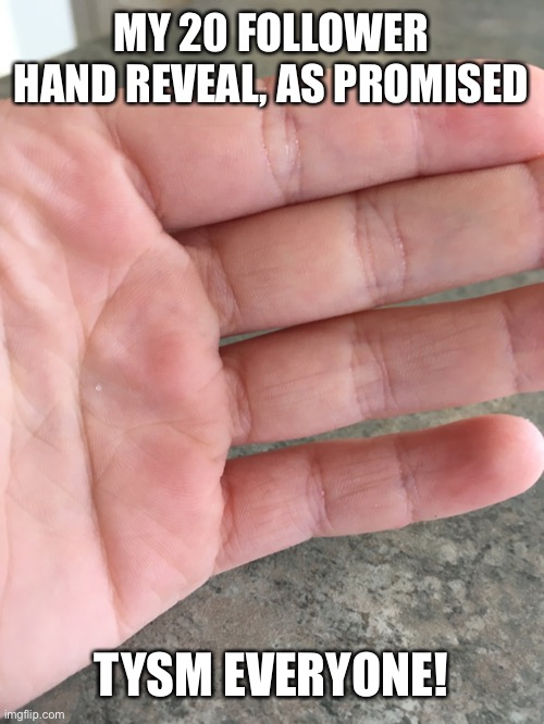 In the span of 4 weeks, I went from 10 to 20 followers | MY 20 FOLLOWER HAND REVEAL, AS PROMISED; TYSM EVERYONE! | image tagged in hand,reveal | made w/ Imgflip meme maker