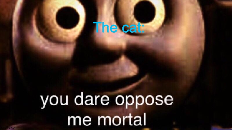 You dare oppose me mortal | The cat: | image tagged in you dare oppose me mortal | made w/ Imgflip meme maker