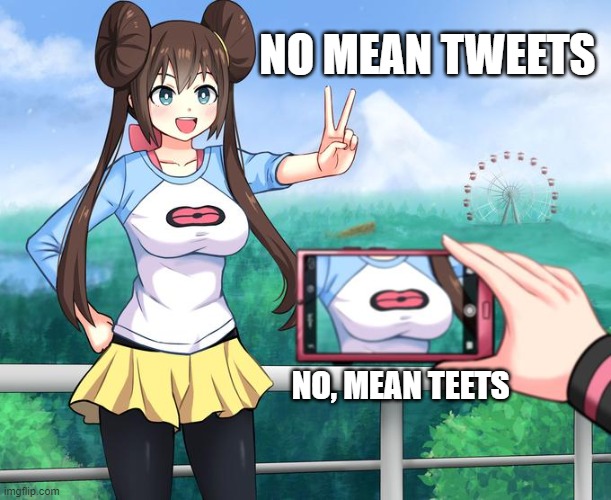 anime girl camera | NO MEAN TWEETS NO, MEAN TEETS | image tagged in anime girl camera | made w/ Imgflip meme maker