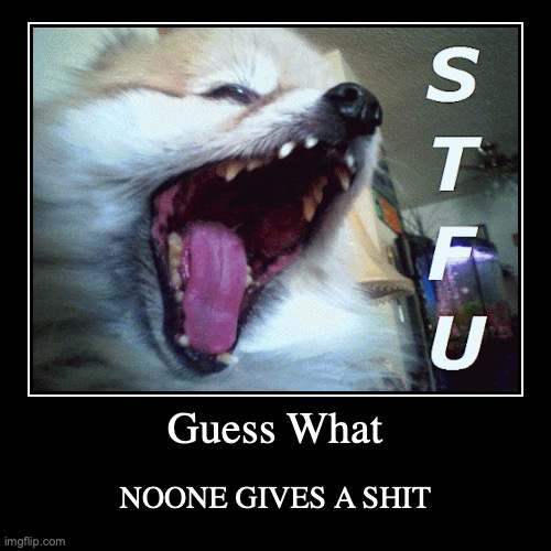 STFU Noob Dog | image tagged in funny,demotivationals,dog,stfu | made w/ Imgflip demotivational maker