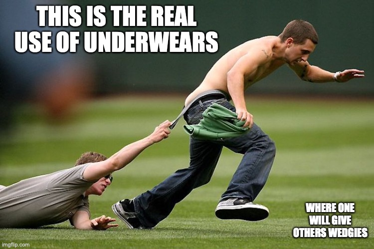 Underwear Wedgies | THIS IS THE REAL USE OF UNDERWEARS; WHERE ONE WILL GIVE OTHERS WEDGIES | image tagged in underwear,memes | made w/ Imgflip meme maker