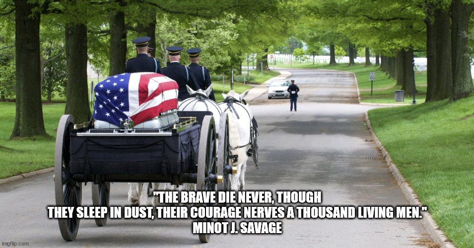 "THE BRAVE DIE NEVER, THOUGH THEY SLEEP IN DUST, THEIR COURAGE NERVES A THOUSAND LIVING MEN."

MINOT J. SAVAGE | image tagged in memorial day | made w/ Imgflip meme maker