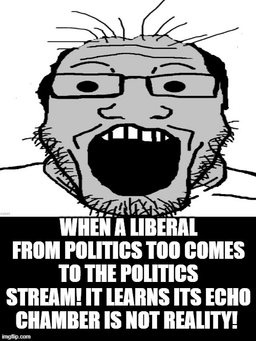 When the Politics Too Echo Chamber is not REALITY! | WHEN A LIBERAL FROM POLITICS TOO COMES TO THE POLITICS STREAM! IT LEARNS ITS ECHO CHAMBER IS NOT REALITY! | image tagged in stupid liberals | made w/ Imgflip meme maker