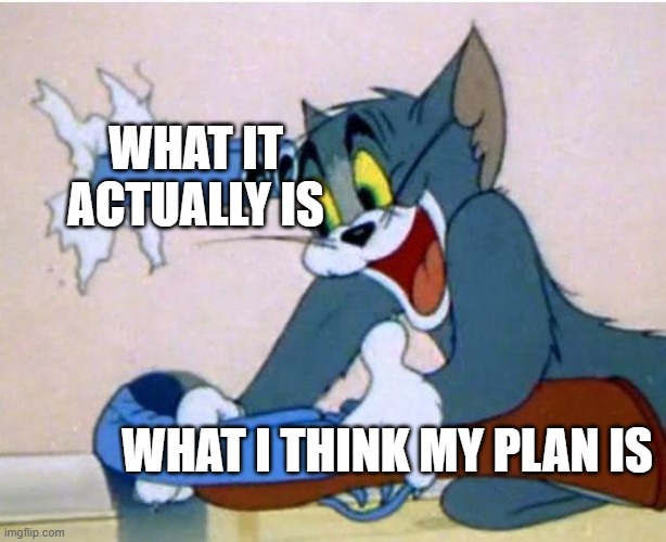Tom and Jerry | WHAT IT ACTUALLY IS; WHAT I THINK MY PLAN IS | image tagged in tom and jerry,relatable,memes,meme | made w/ Imgflip meme maker