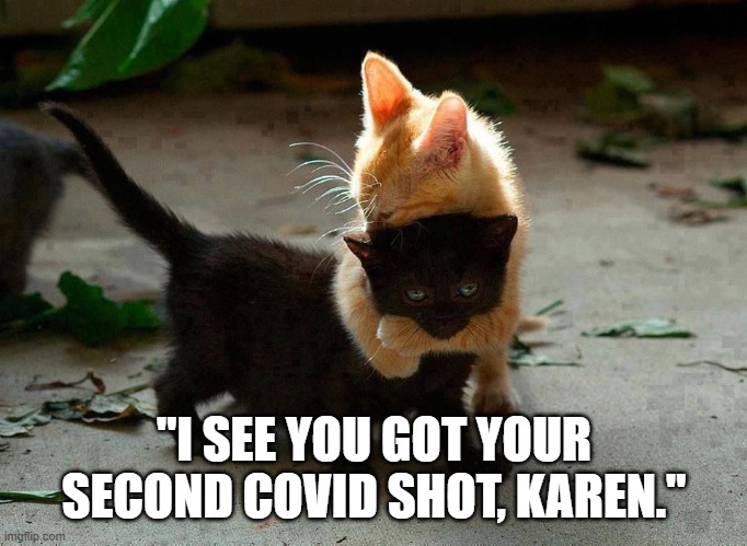 kitten hug | "I SEE YOU GOT YOUR SECOND COVID SHOT, KAREN." | image tagged in kitten hug | made w/ Imgflip meme maker