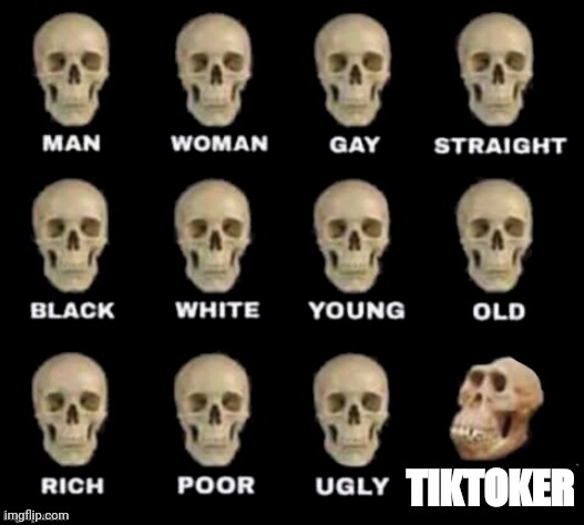 idiot skull | TIKTOKER | image tagged in idiot skull | made w/ Imgflip meme maker