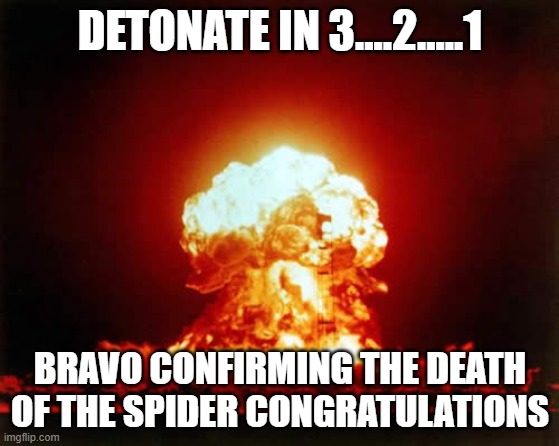 Nuclear Explosion | DETONATE IN 3....2.....1; BRAVO CONFIRMING THE DEATH OF THE SPIDER CONGRATULATIONS | image tagged in memes,nuclear explosion,spider | made w/ Imgflip meme maker