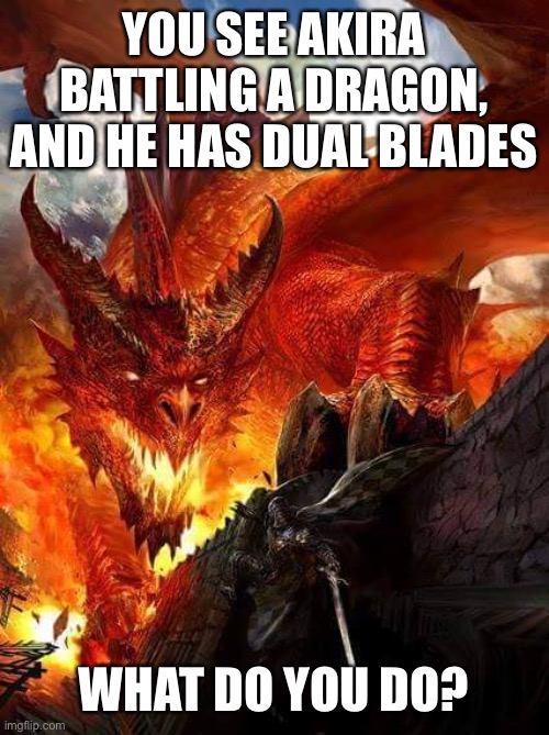 Lol | YOU SEE AKIRA BATTLING A DRAGON, AND HE HAS DUAL BLADES; WHAT DO YOU DO? | image tagged in dragon vs knight | made w/ Imgflip meme maker
