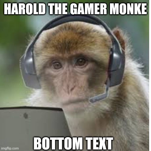 Monke gang | HAROLD THE GAMER MONKE; BOTTOM TEXT | image tagged in monke,gaming | made w/ Imgflip meme maker