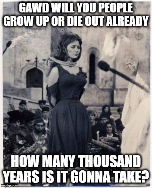 Witch Burned At The Stake | GAWD WILL YOU PEOPLE GROW UP OR DIE OUT ALREADY HOW MANY THOUSAND YEARS IS IT GONNA TAKE? | image tagged in witch burned at the stake | made w/ Imgflip meme maker