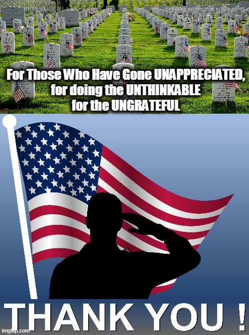 Memorial Day |  For Those Who Have Gone UNAPPRECIATED,
for doing the UNTHINKABLE
for the UNGRATEFUL | image tagged in political meme,us military,respect,gratitude,honor | made w/ Imgflip meme maker