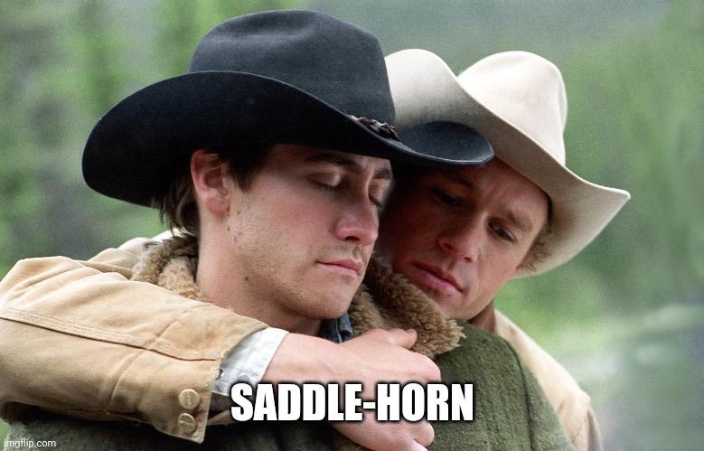 Brokeback mountain | SADDLE-HORN | image tagged in brokeback mountain | made w/ Imgflip meme maker