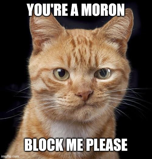 McKayla Meowroney | YOU'RE A MORON BLOCK ME PLEASE | image tagged in mckayla meowroney | made w/ Imgflip meme maker