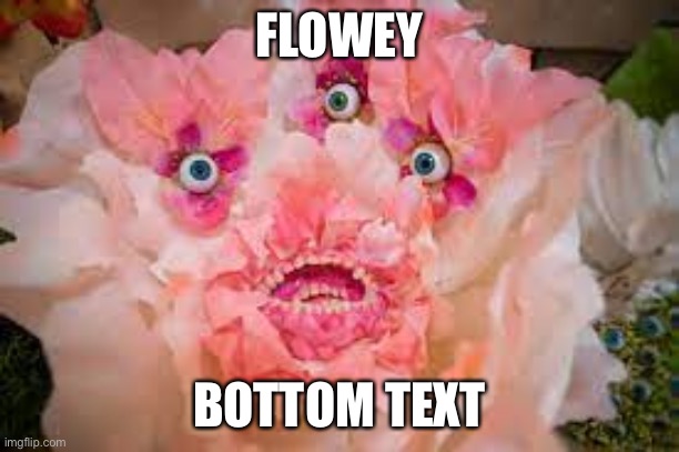 Omega Mart Flower | FLOWEY; BOTTOM TEXT | image tagged in omega mart flower | made w/ Imgflip meme maker