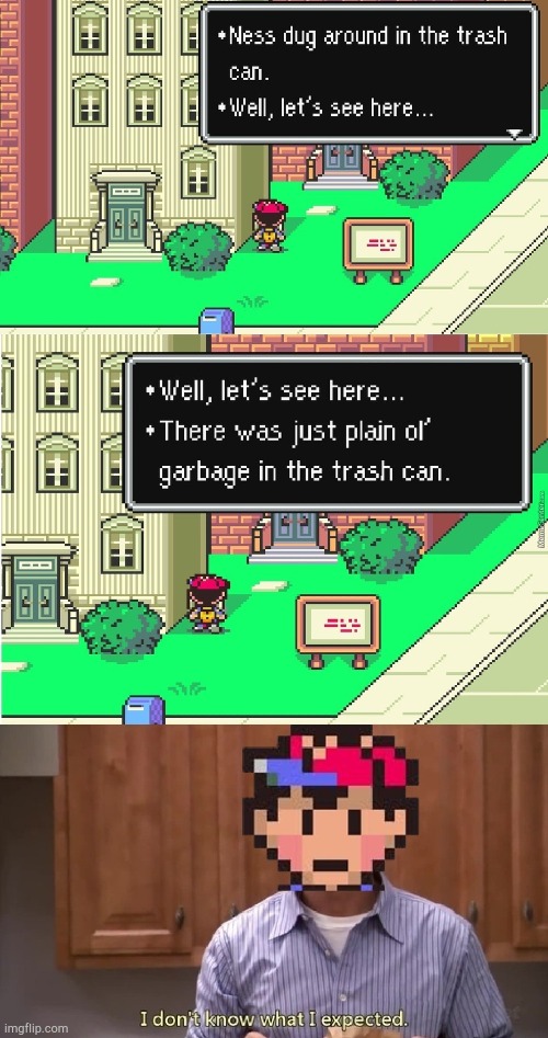 He doesn't know what he expected | image tagged in earthbound,trash can,ness | made w/ Imgflip meme maker