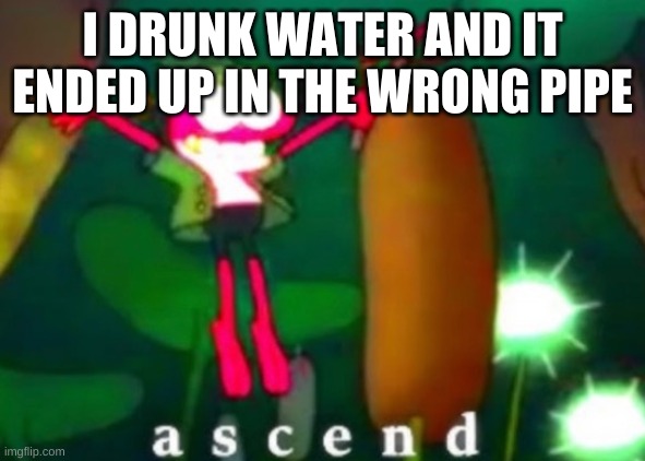 Sprig Ascends | I DRUNK WATER AND IT ENDED UP IN THE WRONG PIPE | image tagged in sprig ascends | made w/ Imgflip meme maker