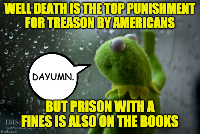 kermit window | WELL DEATH IS THE TOP PUNISHMENT
FOR TREASON BY AMERICANS BUT PRISON WITH A FINES IS ALSO ON THE BOOKS DAYUMN. | image tagged in kermit window | made w/ Imgflip meme maker