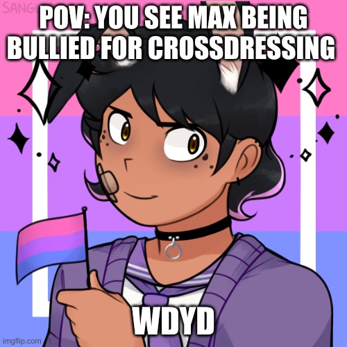 ik its nor original but- | POV: YOU SEE MAX BEING BULLIED FOR CROSSDRESSING; WDYD | made w/ Imgflip meme maker