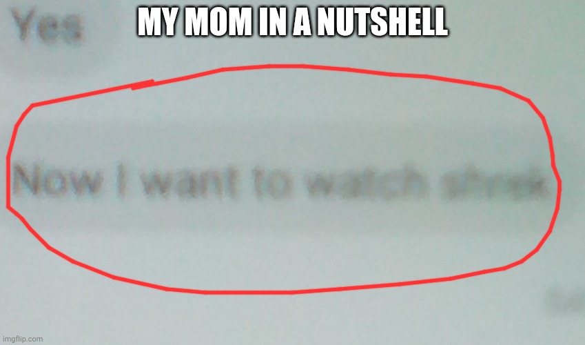 Mom in a nutshell | MY MOM IN A NUTSHELL | image tagged in mom,text | made w/ Imgflip meme maker